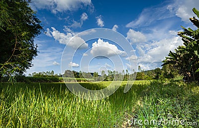 Agricultural plots landscape Stock Photo